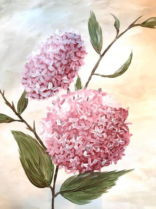 Hydrangea
